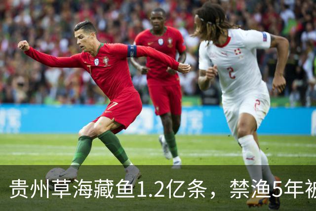 贵州草海藏鱼1.2亿条，禁渔5年被啃成秃海！长江能重蹈覆辙吗？